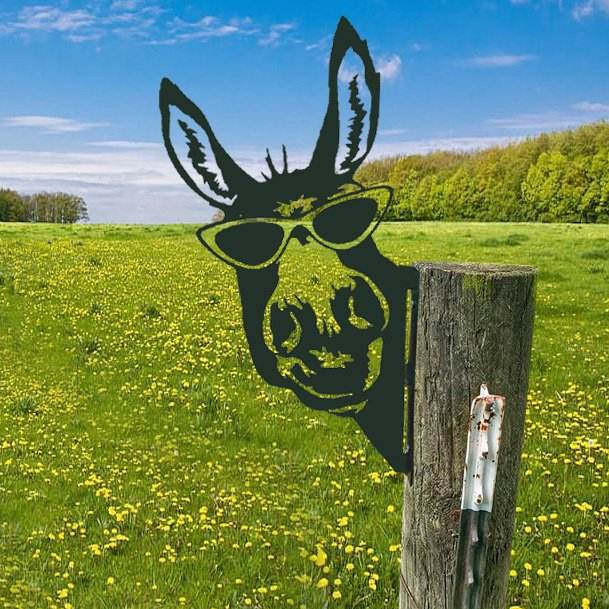 Metal Art Courtyard Garden Gardening Animal Ornaments Humor Donkey Iron Crafts Horse Wall Art