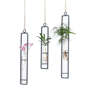 Small Test Tube Hanging Glass Planter Bud Flower Vase Terrarium Container for Home Decoration Green Plants Wedding