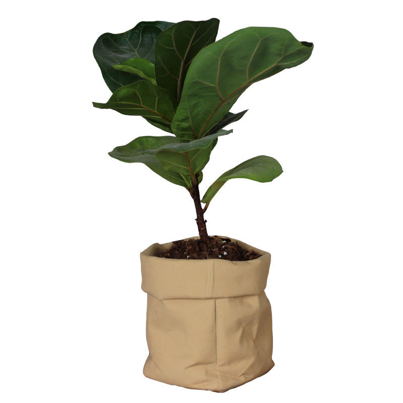 Nordic Simple Modern Simulation Cowhide Cement Cloth Bag Flower Pot For Home Decor Potted Plant Container