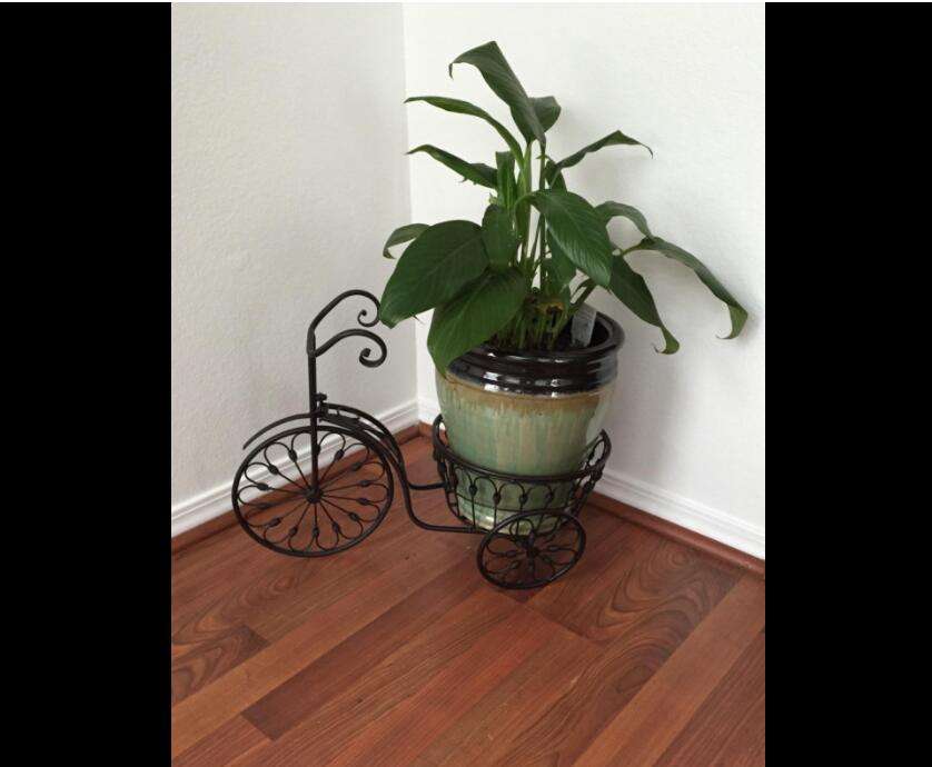 Parisian Style Metal Tricycle Plant Stand